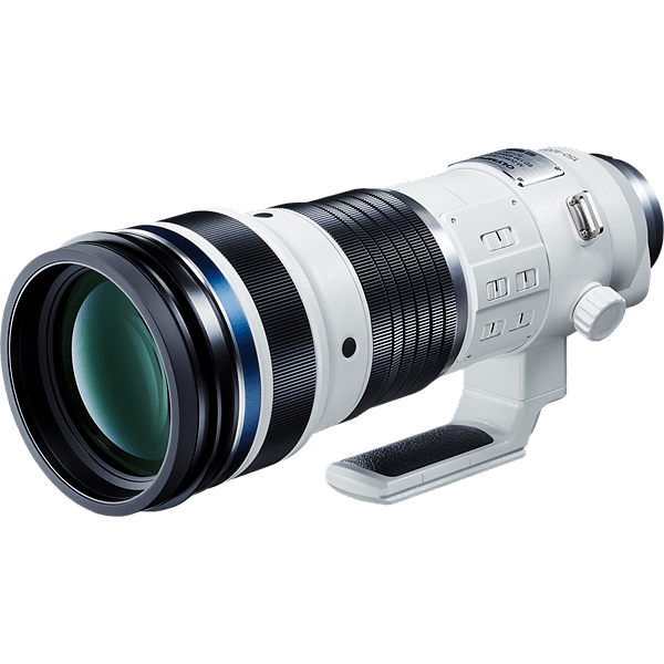 Olympus 150-400mm f/4.5 TC1.25x IS PRO