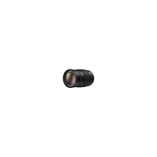 Panasonic Lumix G Vario 100-300mm f/4-5.6