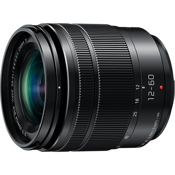 Panasonic Lumix G Vario 12-60mm f/3.5-5.6